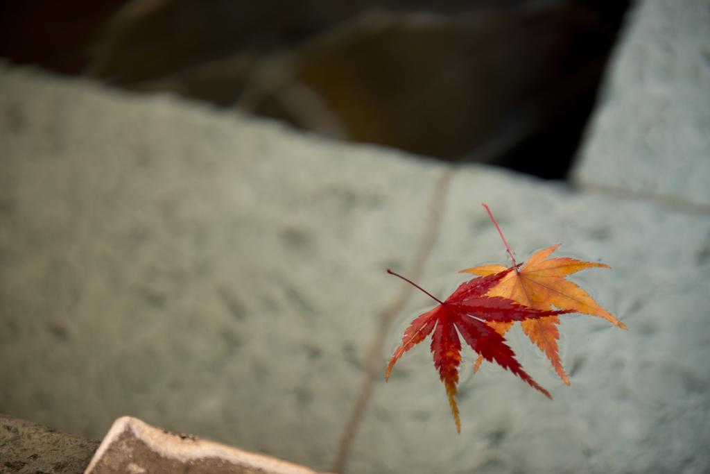 Hotel Onsen Ryokan Yamaki Nasushiobara Esterno foto